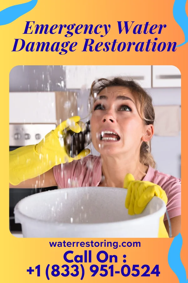 Emergency Water Damage Restoration in Gregory, TX