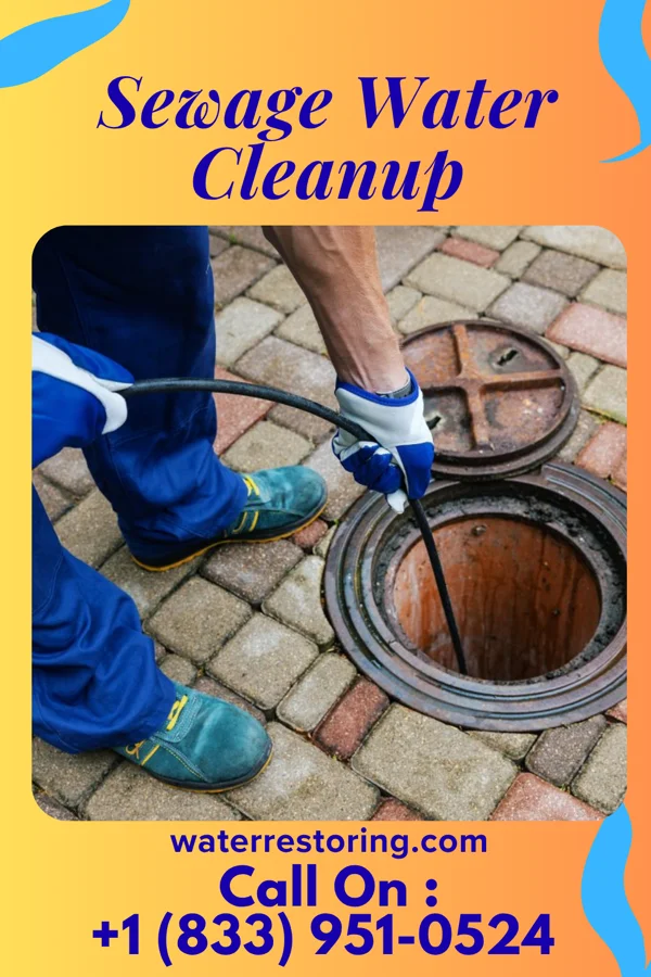 Sewage Water Cleanup in Gregory, TX